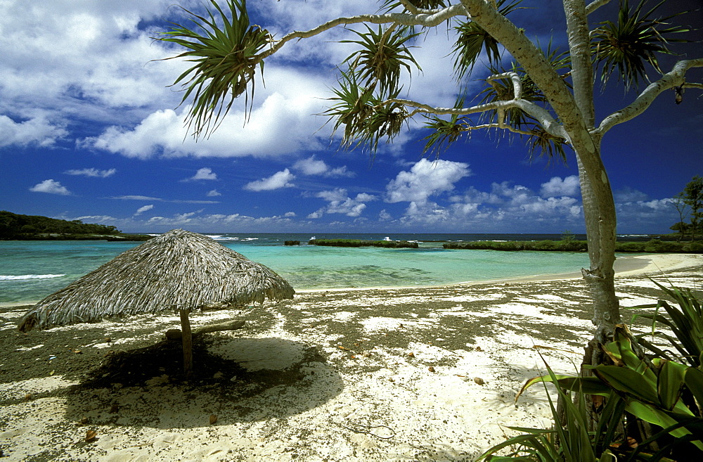 The white sand beach at Eton on the south east coast of the island, Efate Island, Vanuatu