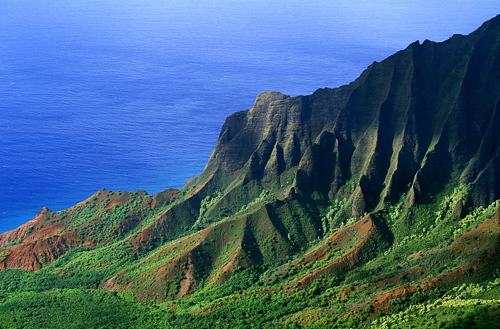 Looking towards the towering seacliffs of the famous NA Pali Coast from the Kokee State Park at the head of Waimea Canyon, Kauai, Hawaii, USA