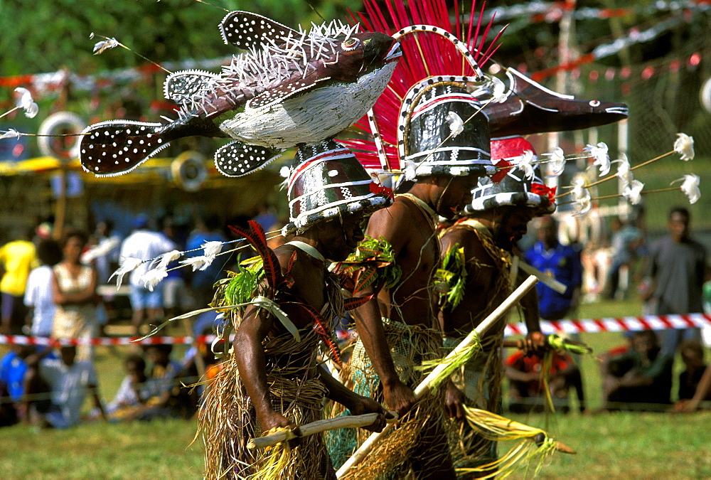 Dancers from GAUA in the Banks Islands perform at a cultural festival wearing fish headresses and rattling nuts on their ankles, Efate Island, Port Vila, Vanuatu