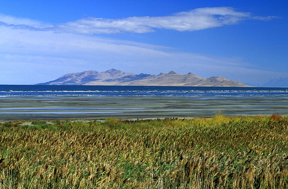 Looking across the Great Salt Lake towards Antelope Island from Great Salt Lake State Park on the south shore near Salt Lake city, Great Salt Lake, Utah, United States of America (USA), North America