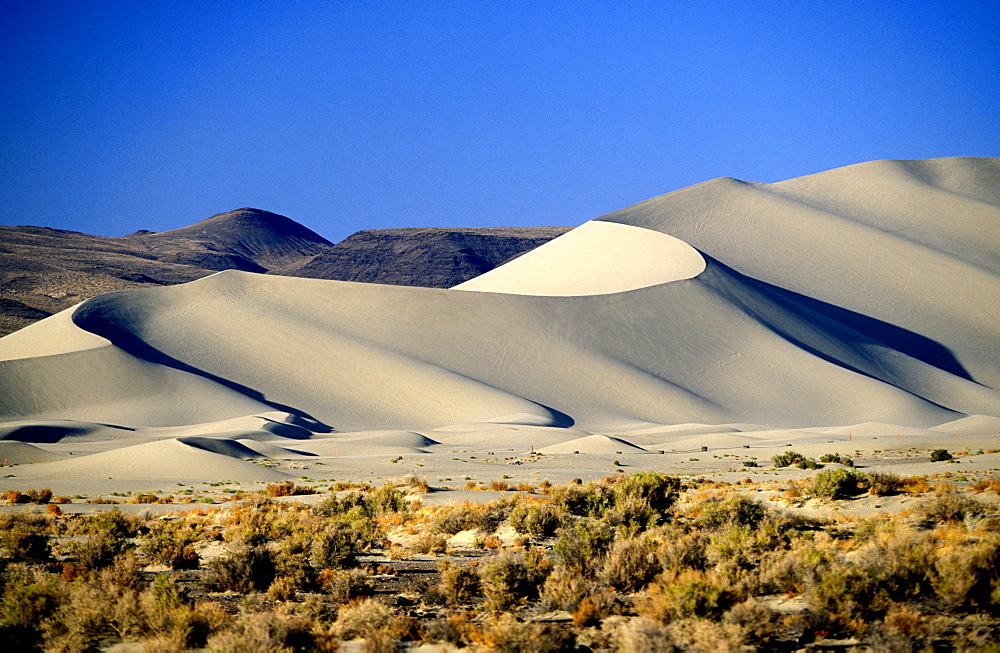 Sand Mountain Recreation Area, a 600ft sand dune popular with off-roaders, east of Fallon, by Highway 50 -'The loneliest road in America', The Great Basin, Nevada, United States of America (USA), North America