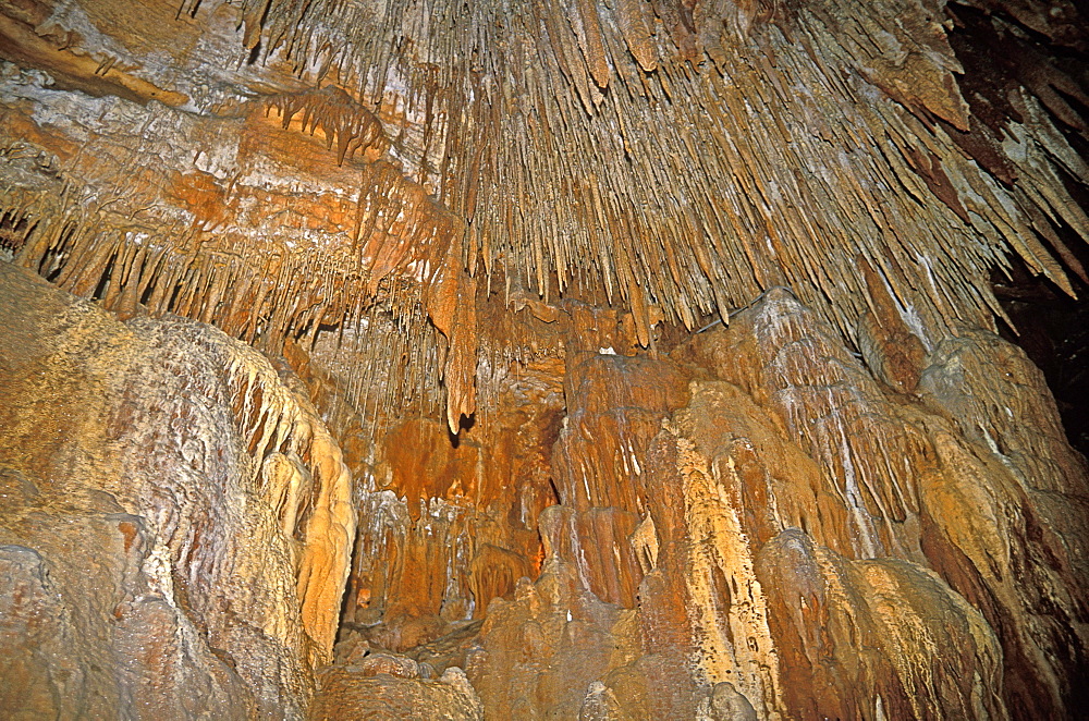 Stalactites at King Solomon's Cave in the Mole Creek Karst National Park, the north, Tasmania, Australia, Pacific