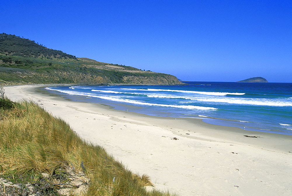 Roaring Beach, a beautiful surf beach near Nubeena, Tasman Peninsula, south east, Tasmania, Australia, Pacific