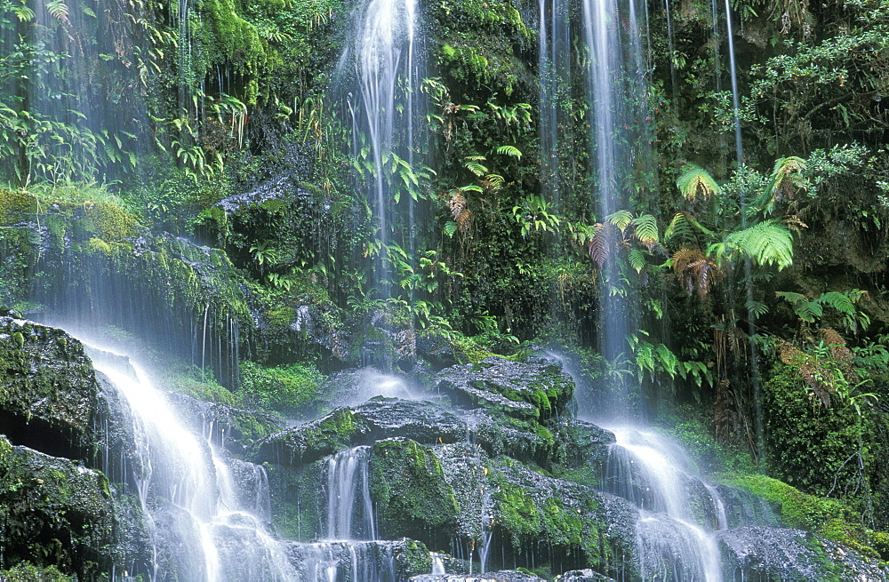 Russell Falls, the most popular attraction in Mount Field National Park, Tasmania, Australia, Pacific