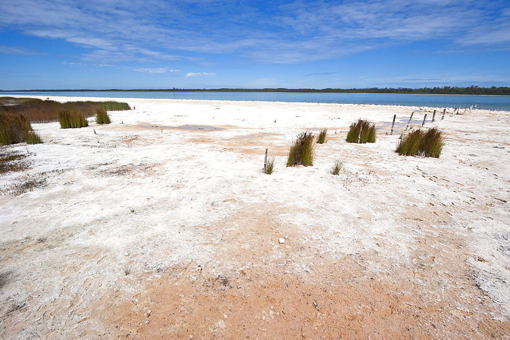 Salt and algal deposits at Lake Clifton, one of a string of coastal lakes south of Mandurah, Yalgorup National Park, Mandurah, Western Australia, Australia, Pacific