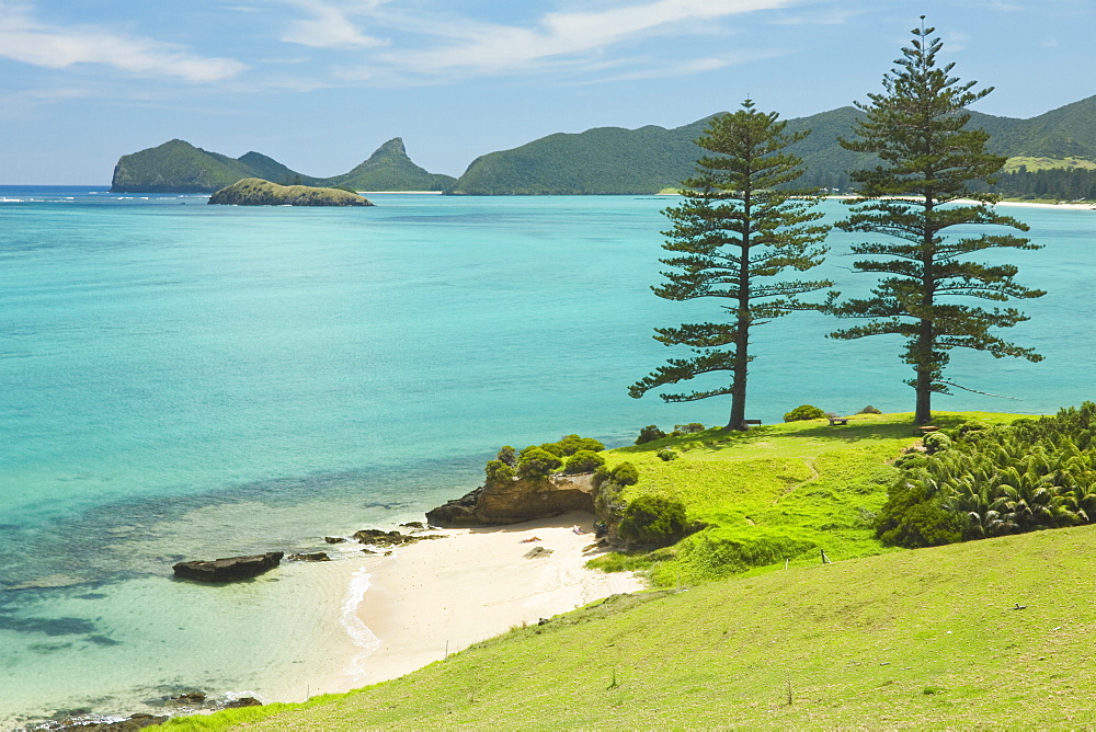 Looking north to Lover's Bay with two Norfolk Island pines by the lagoon with the world's most southerly coral reef, on this 10km long ancient volcanic island in the Tasman Sea, Lord Howe Island, UNESCO World Heritage Site, New South Wales, Australia, Pacific