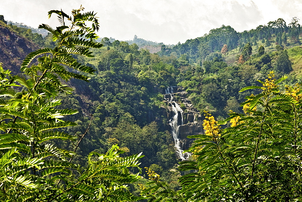 Little Rawana (Ravana) Falls en route to Ella Rock, the upper level of the popular falls in Ella Gap below, Ella, Sri Lanka, Asia