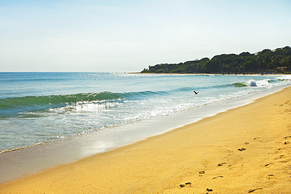 View towards the famous surf point at the south end of this popular fishing beach, Arugam Bay, Eastern Province, Sri Lanka, Asia