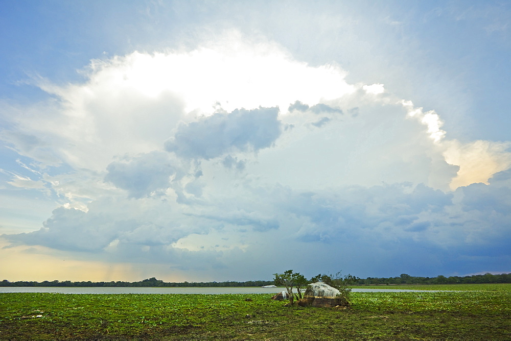 Backlit storm cloud over a lagoon (tank) at Kumana National Park, formerly Yala East, Kumana, Eastern Province, Sri Lanka, Asia