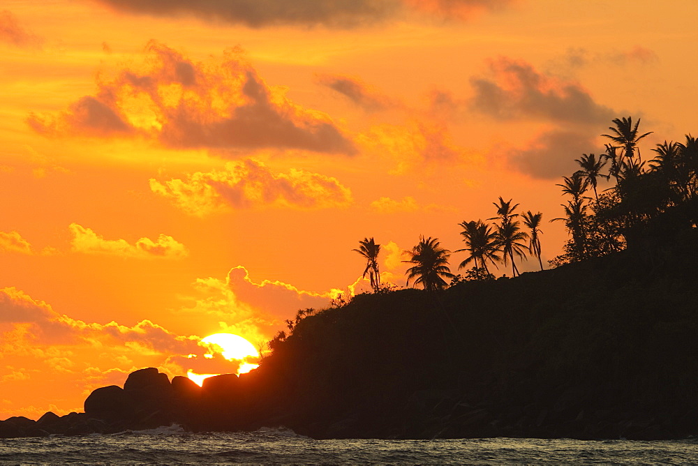 Sunset and palm trees on the western point of the south coast surf beach at Mirissa, near Matara, Southern Province, Sri Lanka, Asia