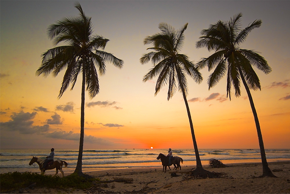 Horse riders at sunset, Playa Guiones surfing beach, Nosara, Nicoya Peninsula, Guanacaste Province, Costa Rica, Central America