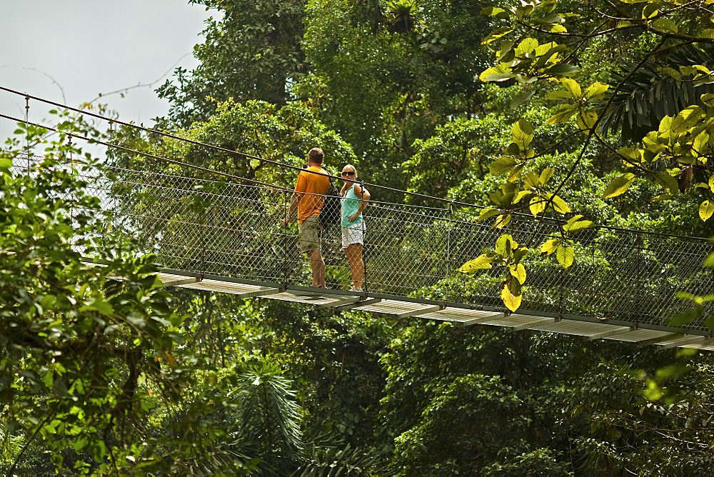 Tourists on walkway in the rainforest canopy at Arenal Hanging Bridges, La Fortuna, Alajuela Province, Costa Rica, Central America