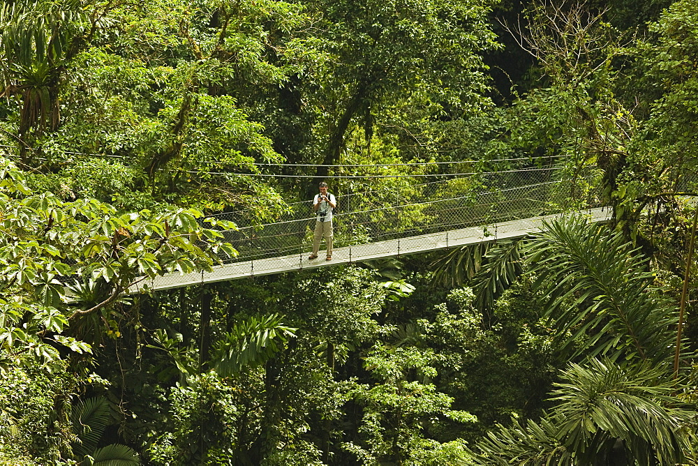 Visitor at Arenal Hanging Bridges where rainforest canopy is accessed via walkways, La Fortuna, Alajuela Province, Costa Rica, Central America 