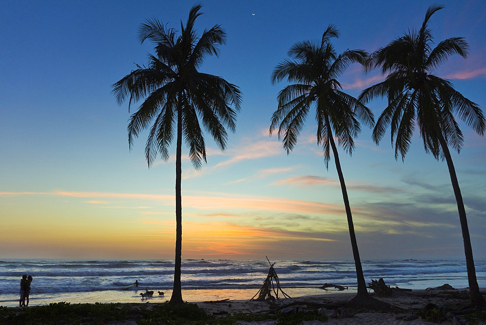 Palm trees at sunset on Playa Guiones surf beach at sunset, Nosara, Nicoya Peninsula, Guanacaste Province, Costa Rica, Central America