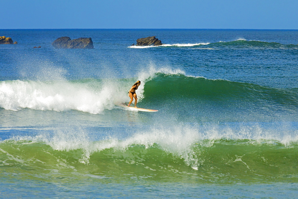 Girl surfing at Playa Guiones beach, Nosara, Nicoya Peninsula, Guanacaste Province, Costa Rica, Central America