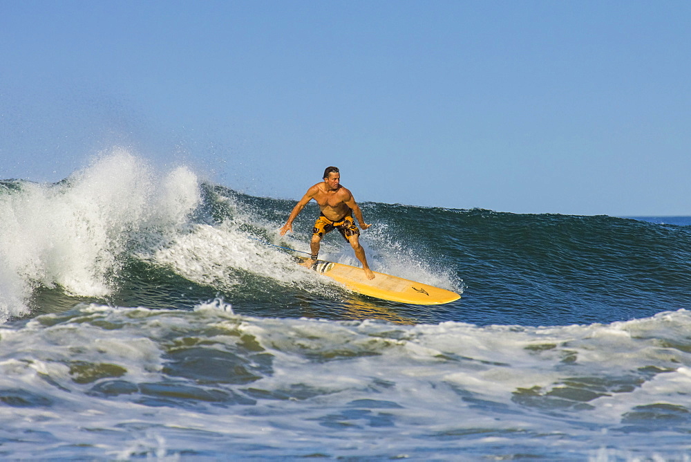 Surfer on longboard riding wave at popular Playa Guiones surf beach, Nosara, Nicoya Peninsula, Guanacaste Province, Costa Rica, Central America