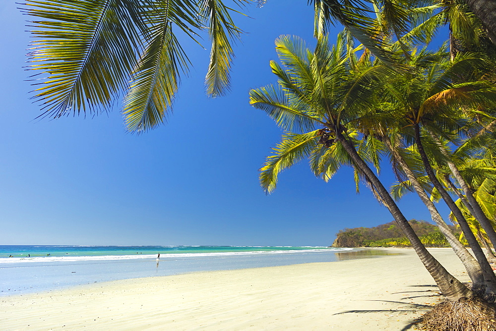 The white sand palm-fringed beach at this laid-back village & resort; Samara, Guanacaste Province, Nicoya Peninsula, Costa Rica, Central America