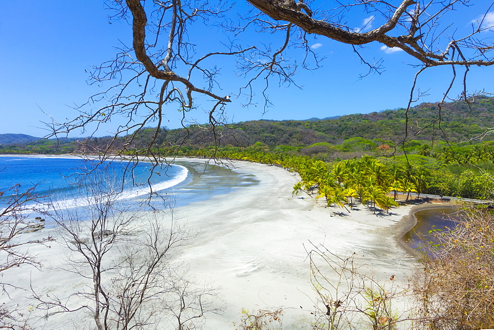 Beautiful palm fringed white sand Playa Carrillo, Carrillo, near Samara, Guanacaste Province, Nicoya Peninsula, Costa Rica, Central America