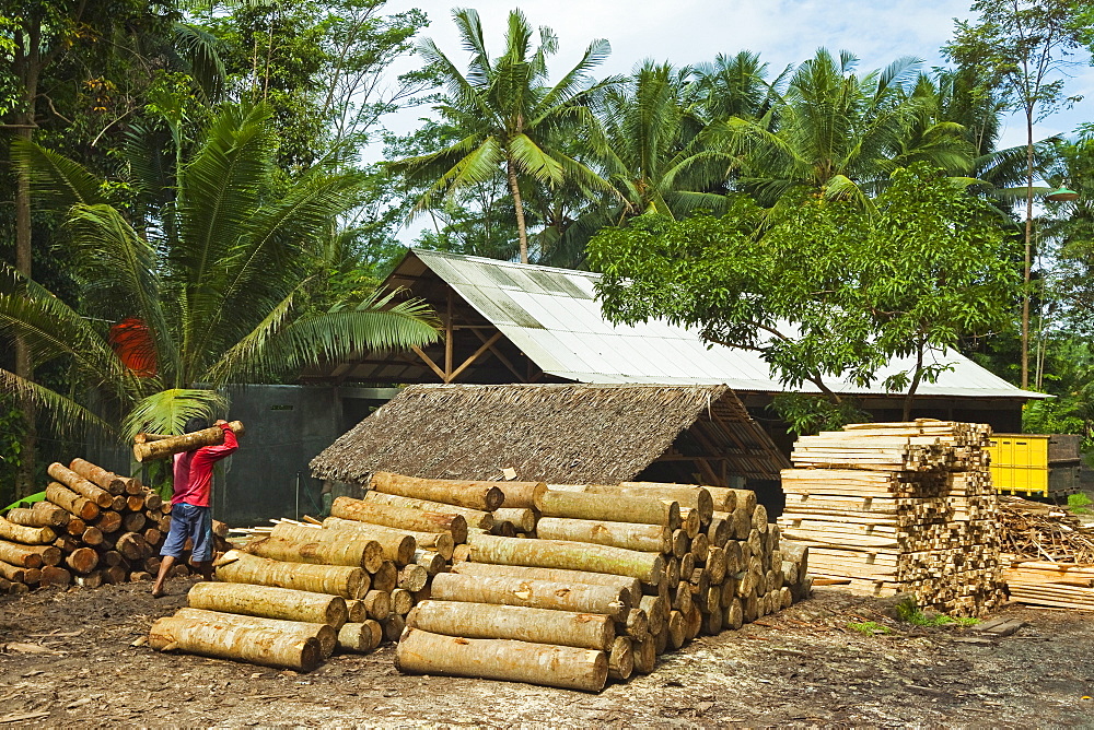 Sawn tree trunks at lumber yard in this rural district near Pangandaran on the south coast, Cijulang, West Java, Java, Indonesia, Southeast Asia, Asia