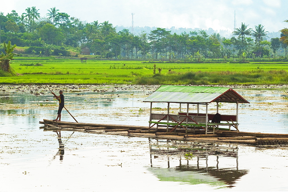 Man punting bamboo raft on Situ Cangkuang lake at this village known for its temple, Kampung Pulo, Garut, West Java, Indonesia, Southeast Asia, Asia