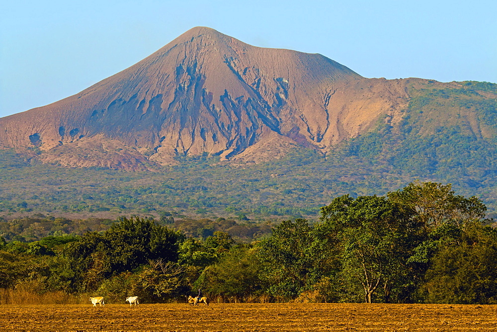 Fields north of Leon and Volcan Telica, one of the country's most active volcanoes, in the North West volcanic chain, Leon, Nicaragua, Central America