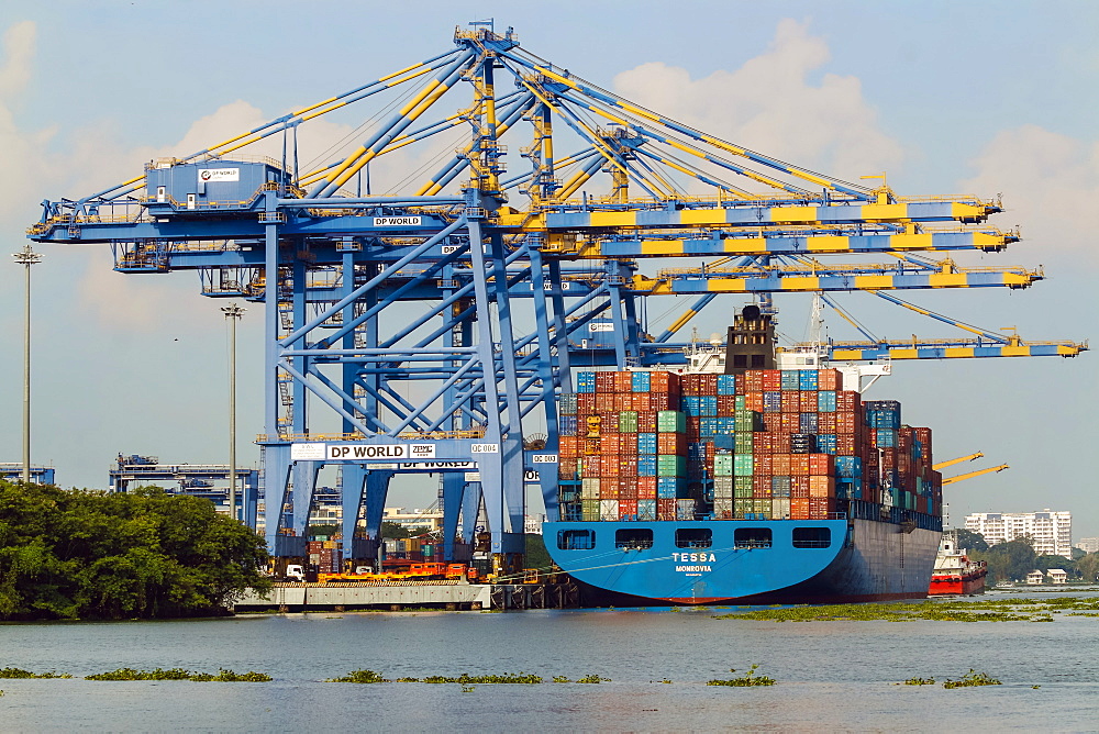 Ship and cranes at Vallarpadam International Transshipment Container Terminal, a major Indian port, Kochi (Cochin), Kerala, India, Asia