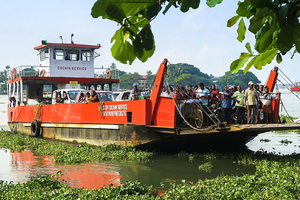 Arrival to the Kochi waterfront of the busy Fort Cochin to Fort Vypin car and passenger ferry, Kochi (Cochin), Kerala, India, Asia