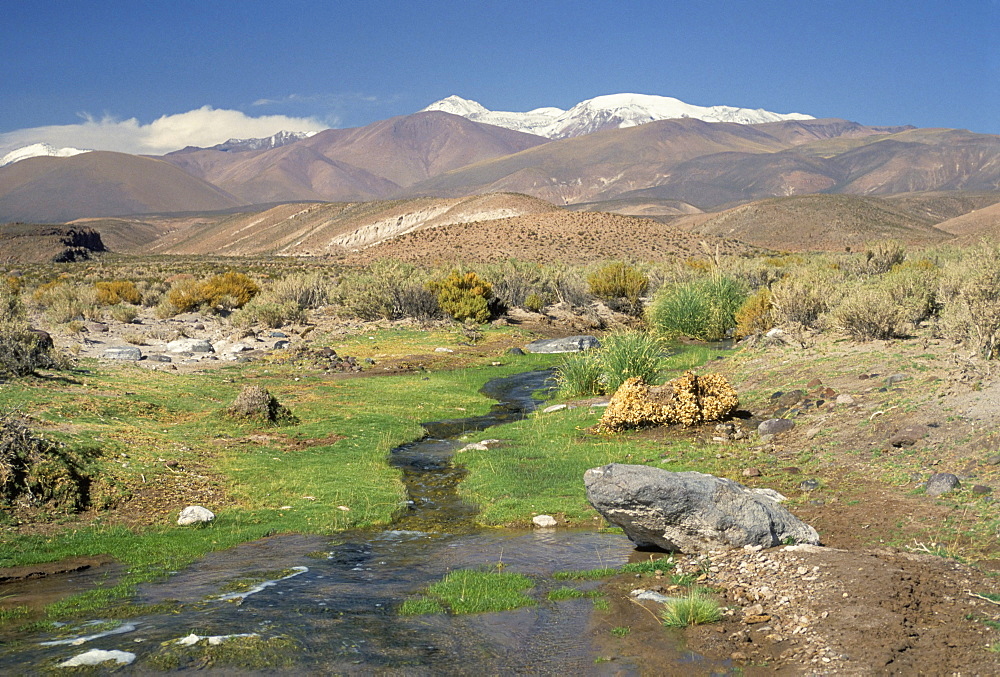 Stream in the Atacama Desert with the Andes on the horizon, San Pedro de Atacama region, Chile, South America