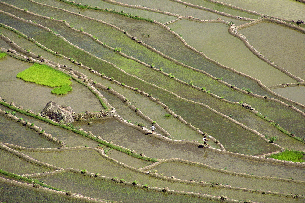 Aerial of the rice terraces around the village of Batad in the Mountain Province in north Luzon island, the Philippines, Southeast Asia, Asia