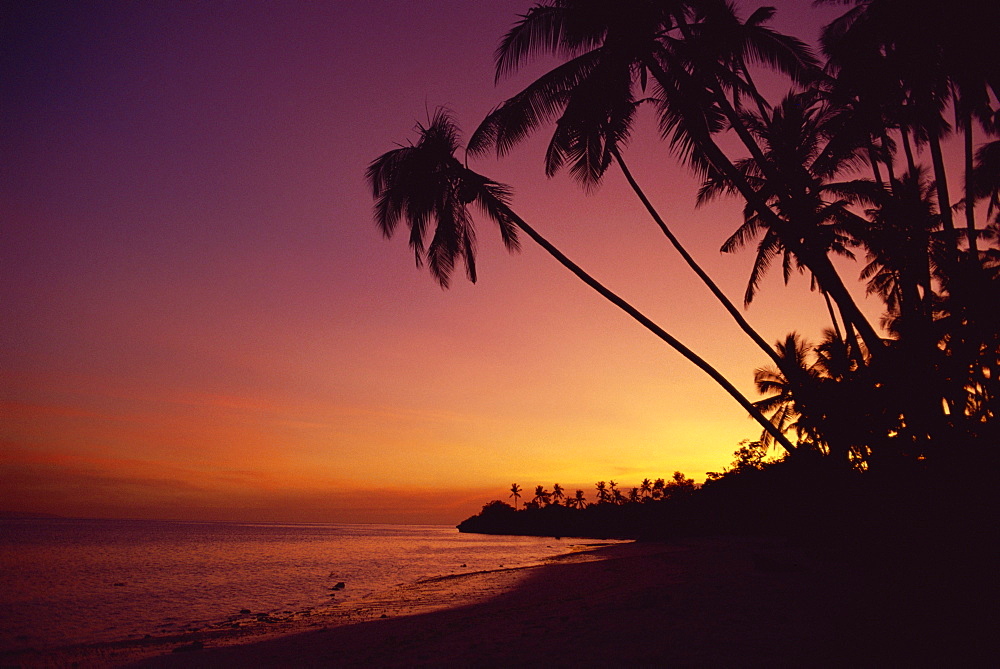 Palm trees on Alona Beach silhouetted at sunset on the island of Panglao, off the coast of Bohol, the Philippines, Southeast Asia, Asia