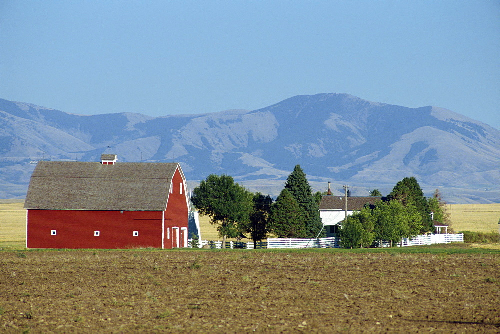 Farm with large barn, on the prairie, with mountains behind, Cascade County, Montana, United States of America, North America