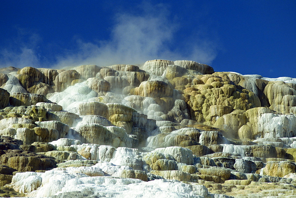 Close-up of the limestone terraces formed by volcanic water depositing six inches of calcium carbonate a year, Mammoth Hot Springs and Terraces, Yellowstone National Park, UNESCO World Heritage Site, Wyoming, United States of America, North America