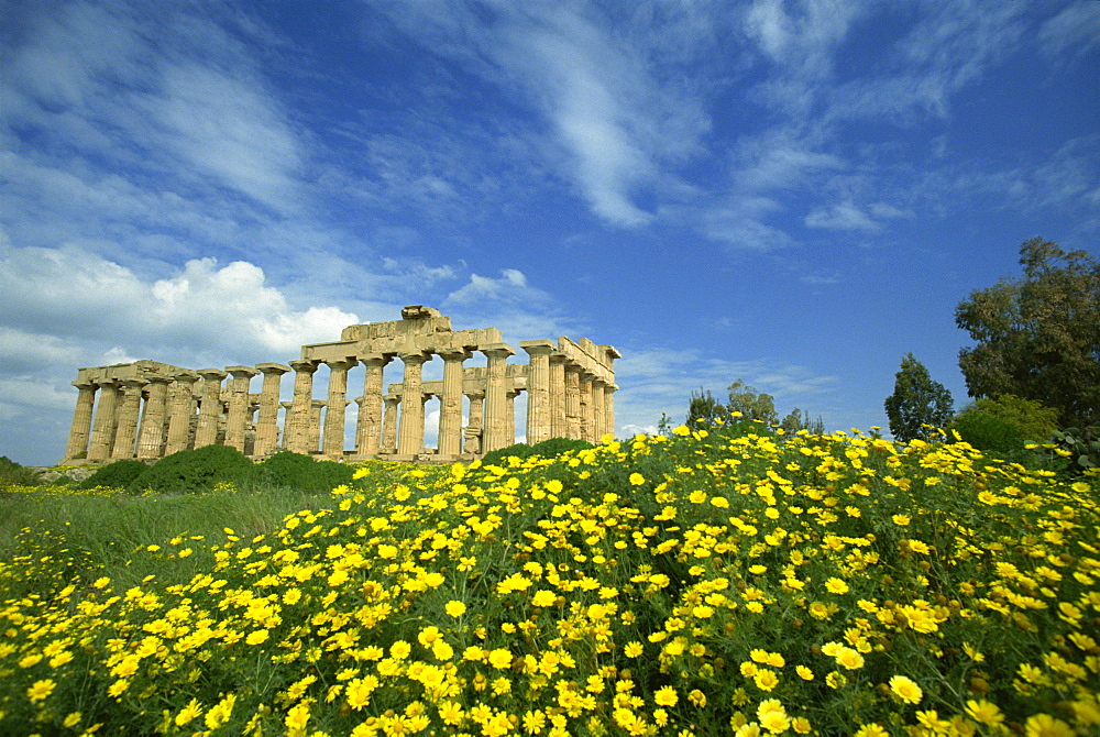 Temple amongst the spring flowers, Selinunte, established 5th century BC, Sicily, Italy, Europe