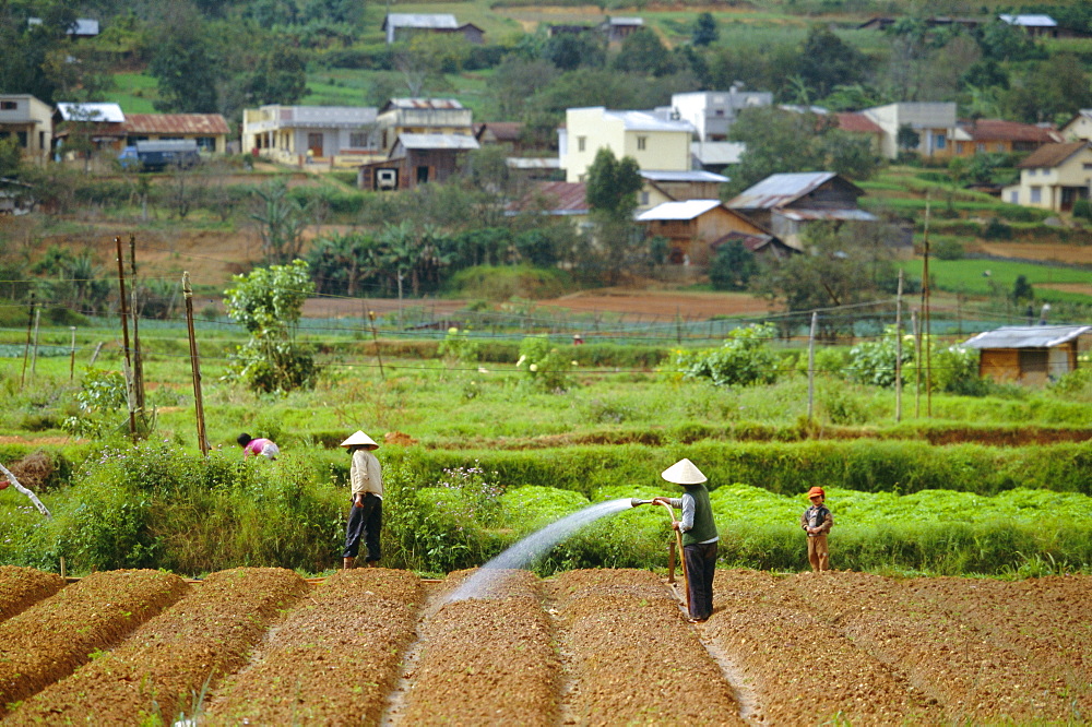 Irrigating fields near Dalat, city in Central Highlands, Vietnam, Indochina, Southeast Asia, Asia