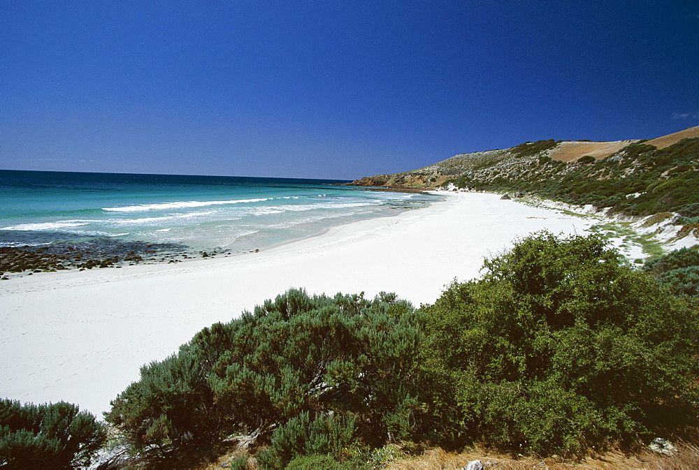 Stokes Bay on north coast, Kangaroo Island, South Australia, Australia, Pacific