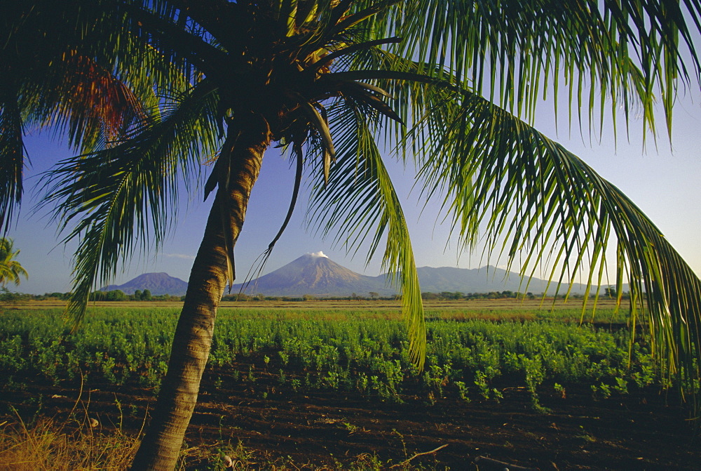 View north across fields at Chichigalpa to Volcan San Cristobal at the northwest end of Nicaragua's chain of volcanoes, Nicaragua, Central America