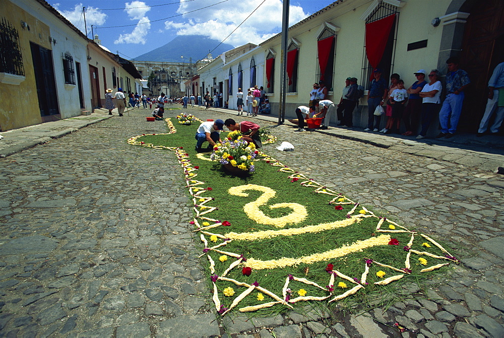 Carpet of plants and flowers being laid on a street for one of the Easter processions, Antigua, Guatemala, Central America