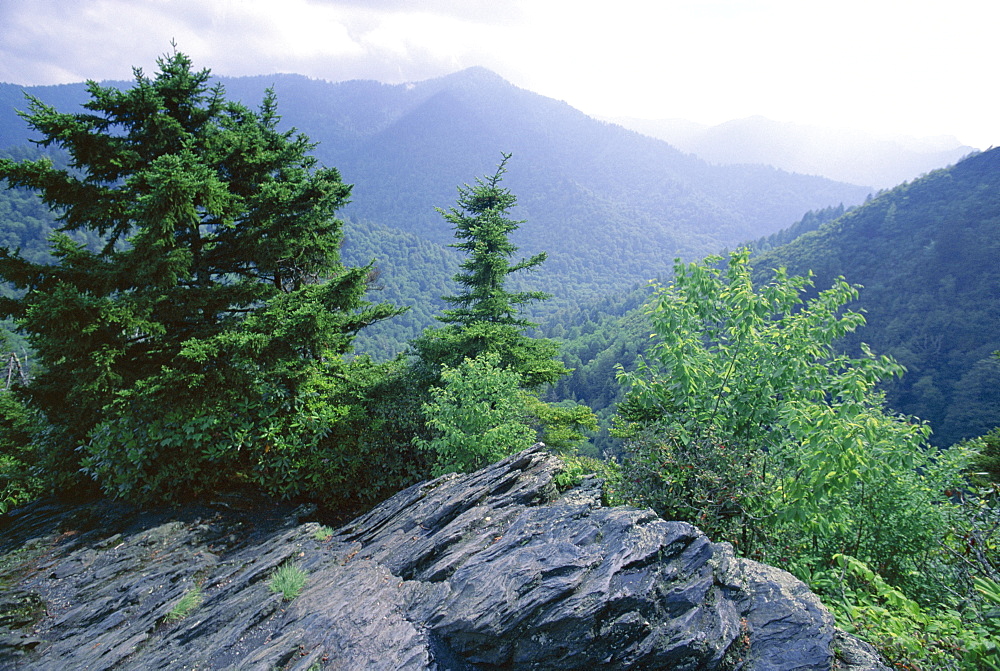 View from the Alum Cave Bluffs trail in Great Smoky Mountains National Park, UNESCO World Heritage Site, Tennessee, United States of America (U.S.A.), North America