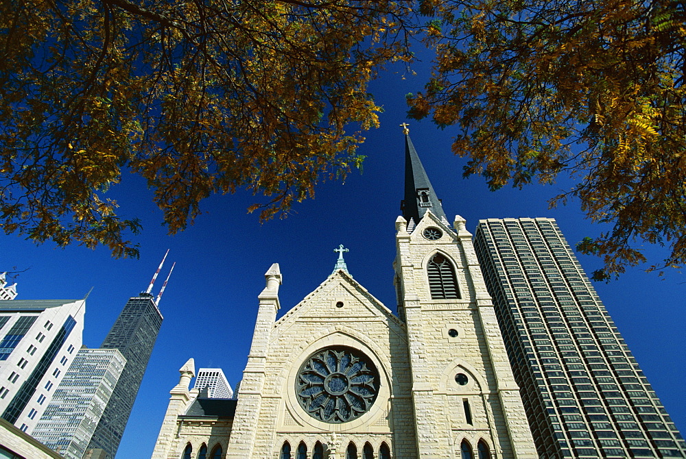 Holy Name Christian cathedral and tower blocks of the Near North of downtown, Chicago, Illinois, United States of America (USA), North America