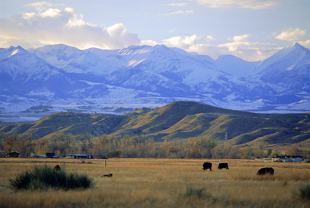 Looking west towards the Rocky Mountains from Big Timber, Sweet Grass County, Montana, USA