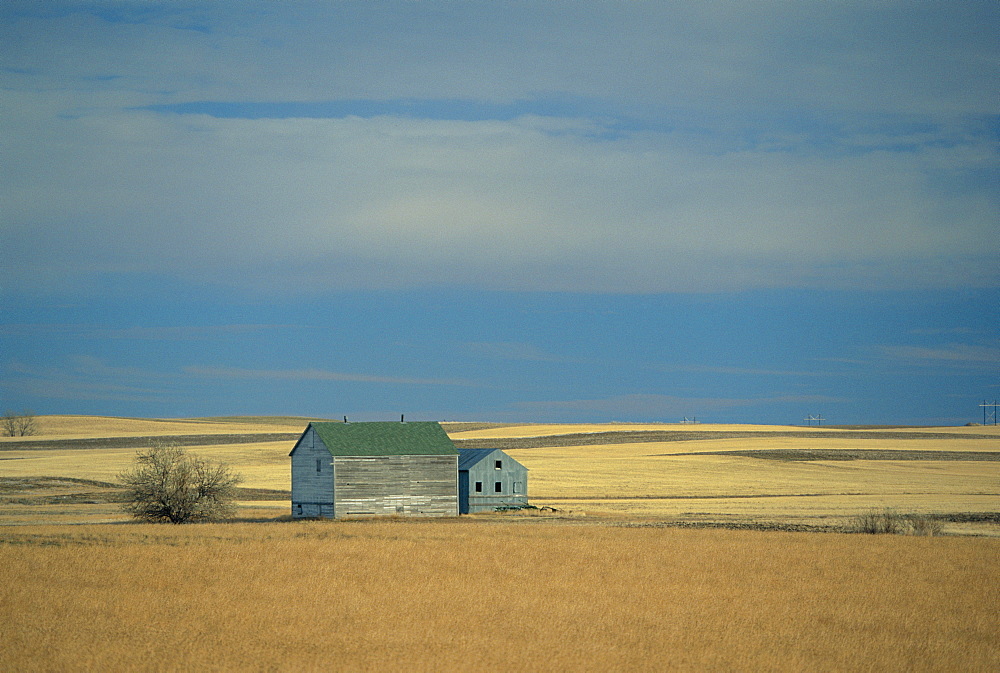 Farm buildings on the prairie, North Dakota, USA 