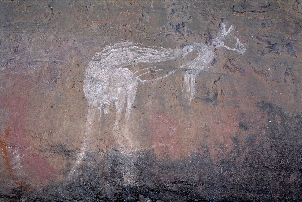 Painting of a kangaroo at Nourlangie Rock, the sacred aboriginal shelter and rock art site in the north east of Kakadu National Park, UNESCO World Heritage Site, Northern Territory, Australia, Pacific