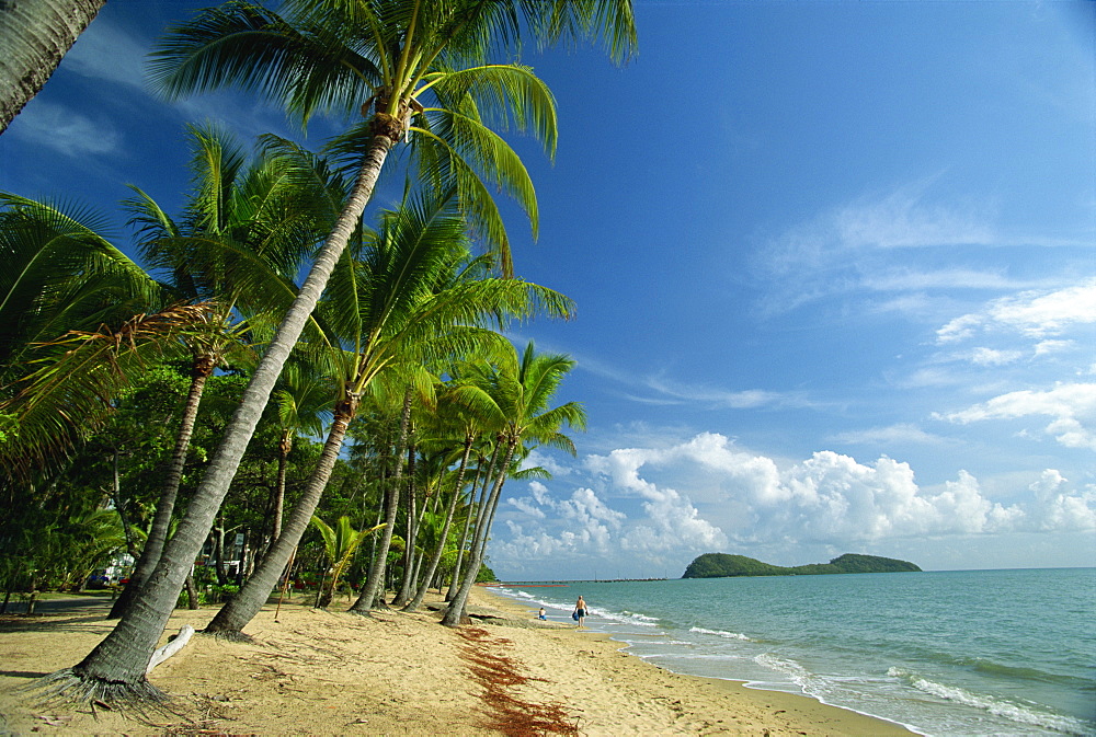 People on a palm fringed beach at Palm Cove with Double Island beyond, north of Cairns, Queensland, Australia, Pacific