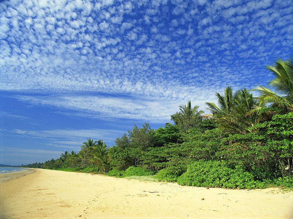 Popular Mission Beach on the northeast coast, east of Tully, Queensland, Australia, Pacific