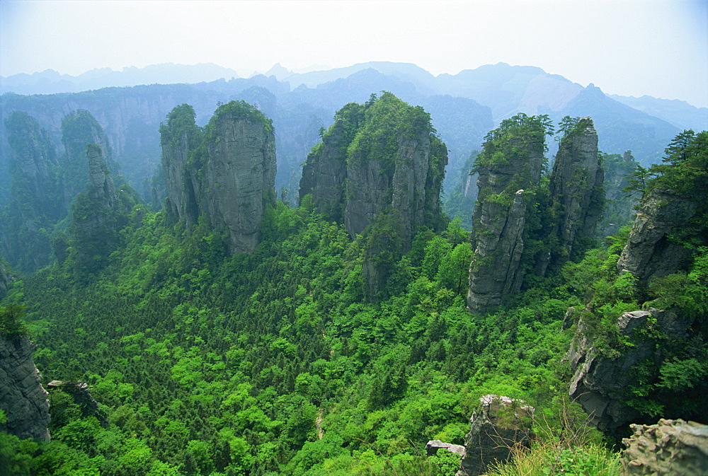 Spectacular limestone outcrops and forested valleys of Zhangjiajie Forest Park in Wulingyuan Scenic Area in Hunan Province, UNESCO World Heritage Site, China, Asia