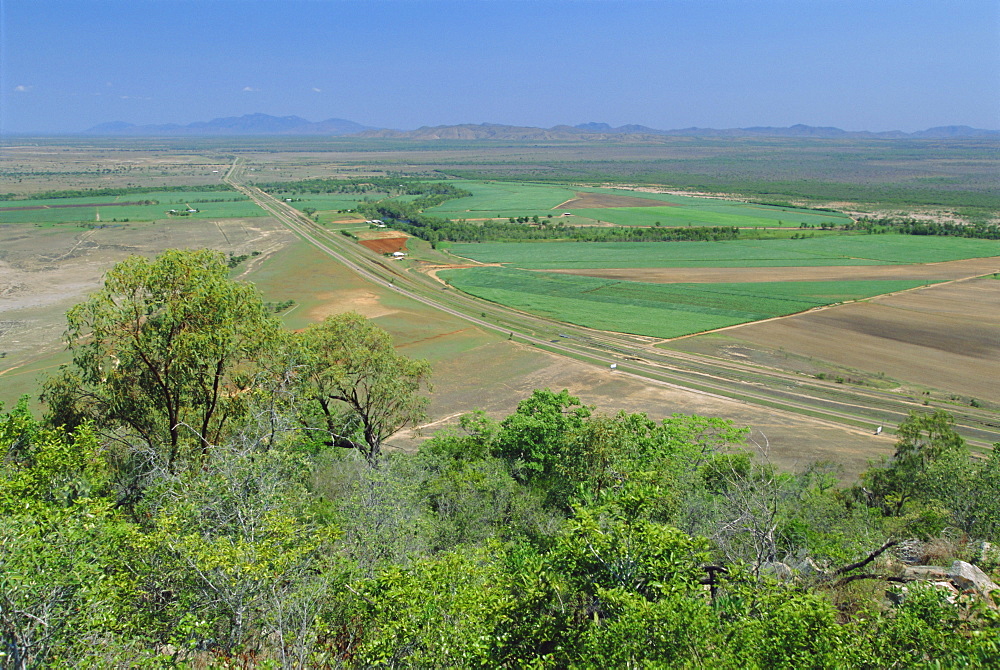 Sugar cane and other crops by the Bruce Highway south of Townsville, Queensland, Australia