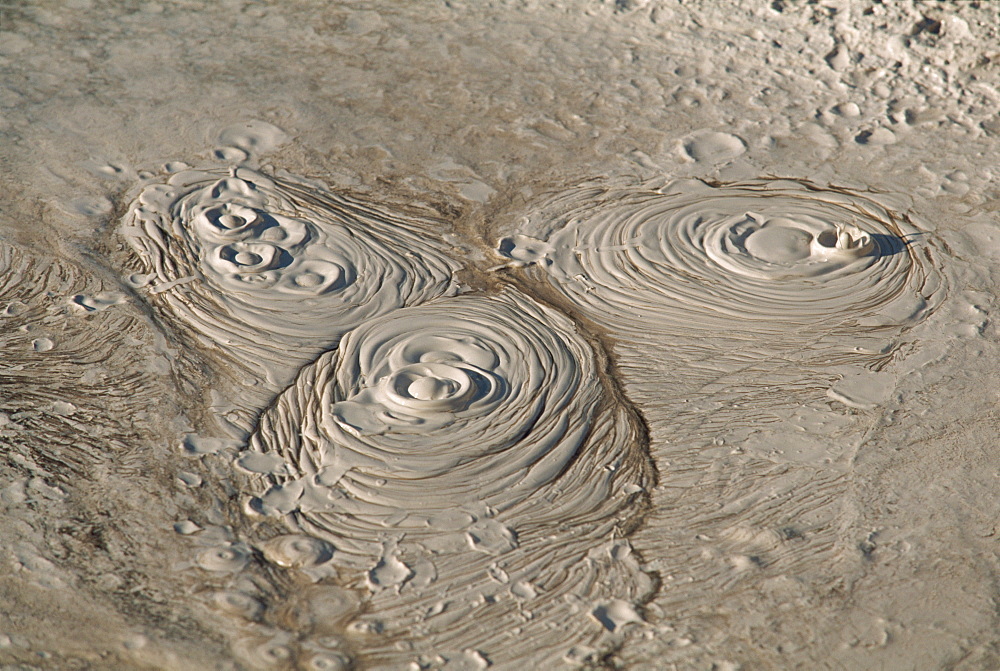 Bubbling mud pot in the Whakarewarewa thermal area at Rotorua, South Auckland, North Island, New Zealand, Pacific