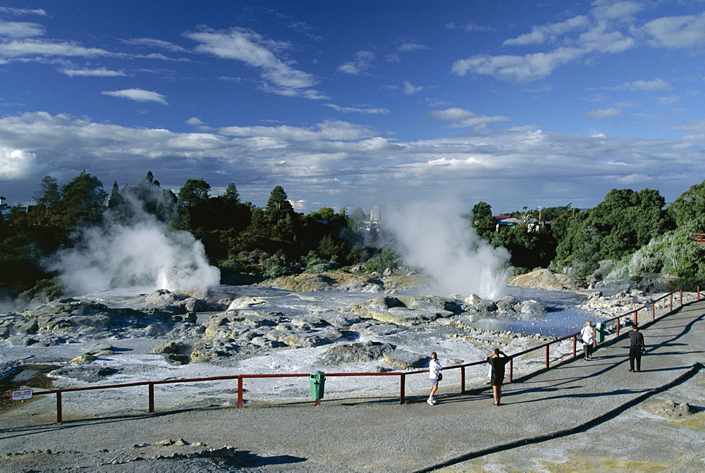 Erupting geysers and mineral terraces, Whakarewarewa thermal area, Rotorua, South Auckland, North Island, New Zealand, Pacific