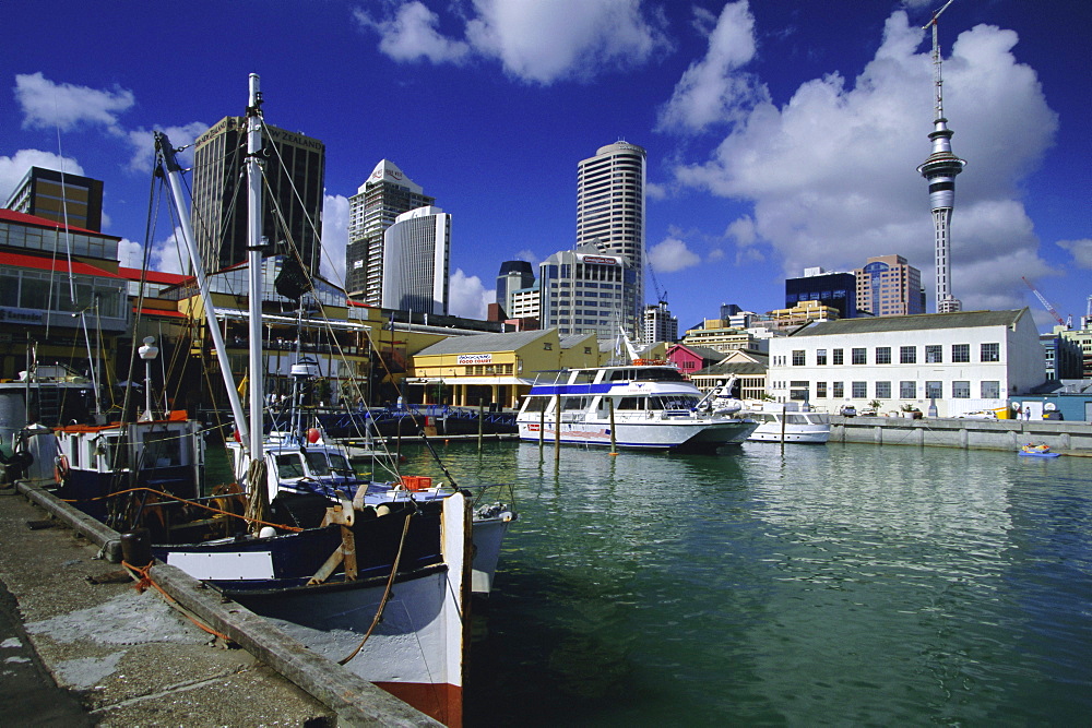 Boats on waterfront with skyline including Sky City Tower beyond, downtown Auckland, Central Auckland, North Island, New Zealand, Pacific