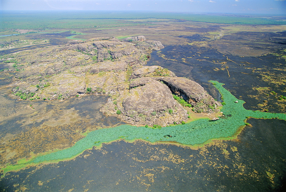 Aerial of a billabong, the backwater of a river on the floodplain of the East Alligator River near the border of Arnhemland and Kakadu National Park, Northern Territory, Australia